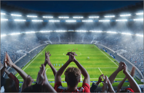 Fans cheering on stadium